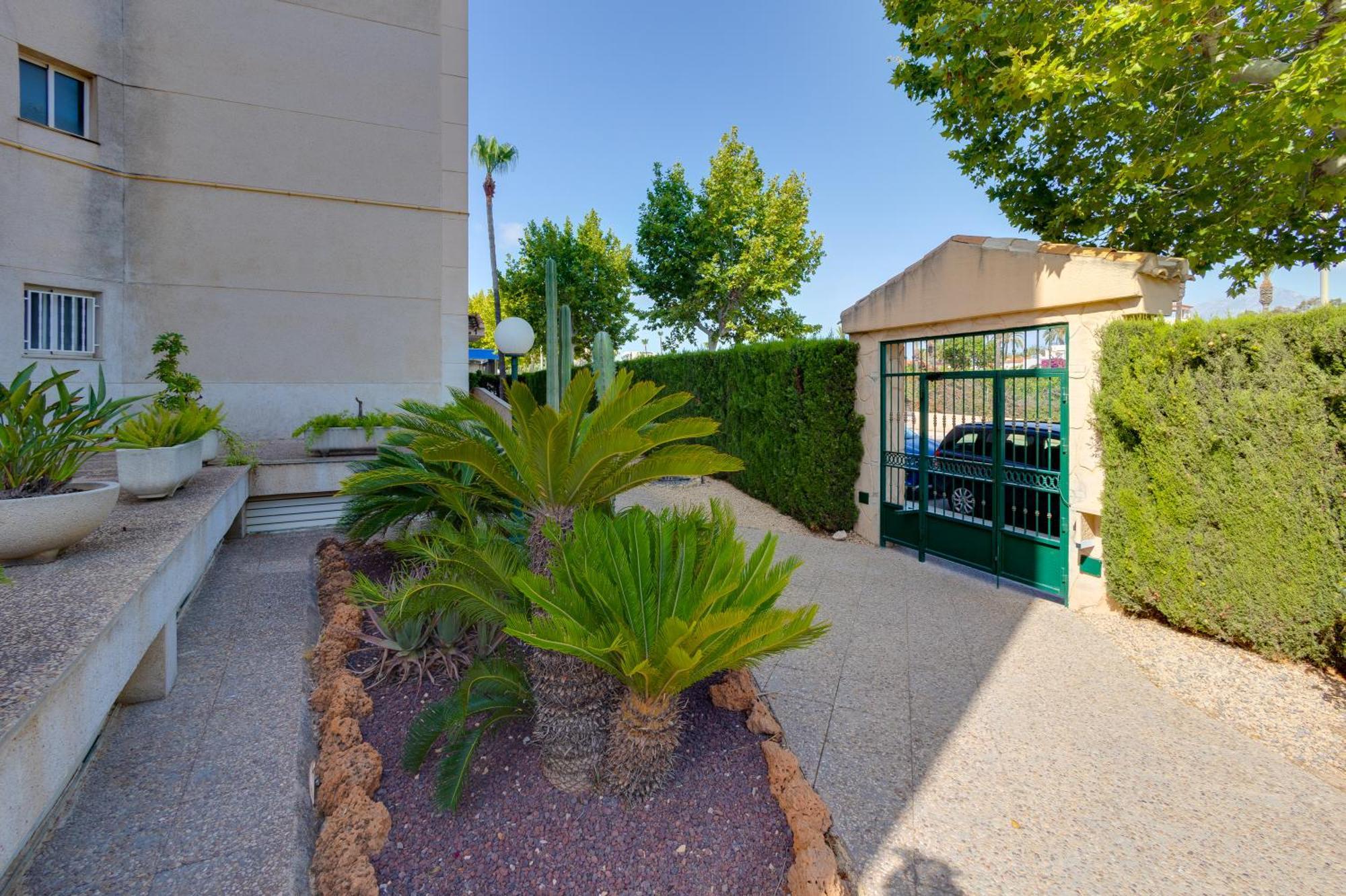 Oasis Apartment