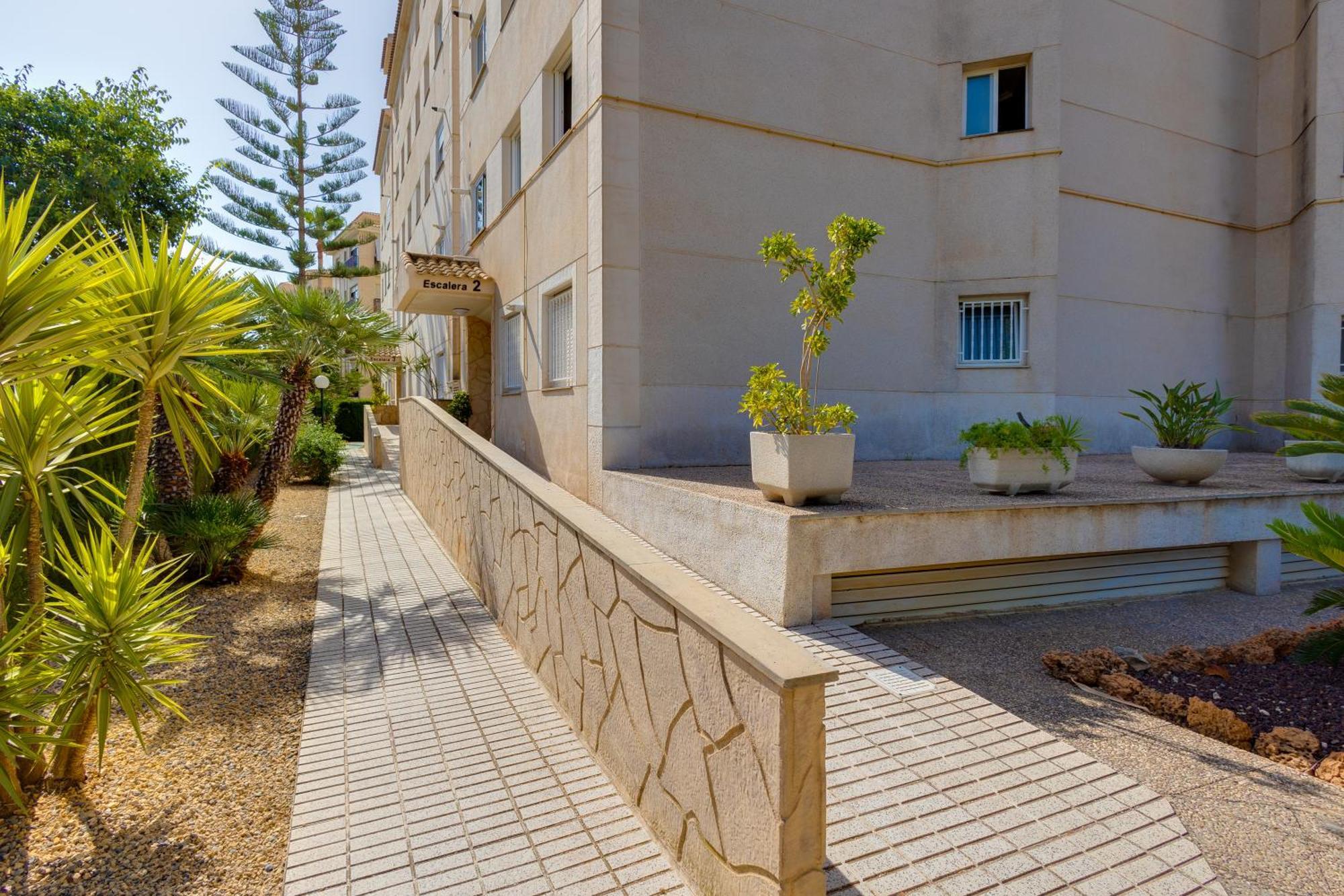 Oasis Apartment *