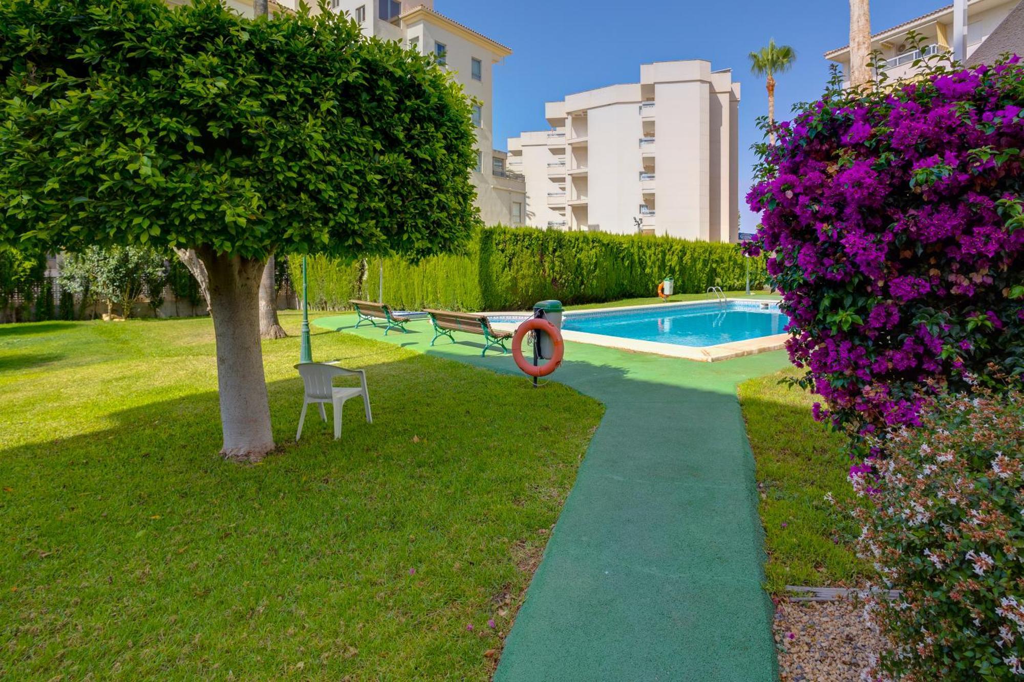 Oasis Apartment *
