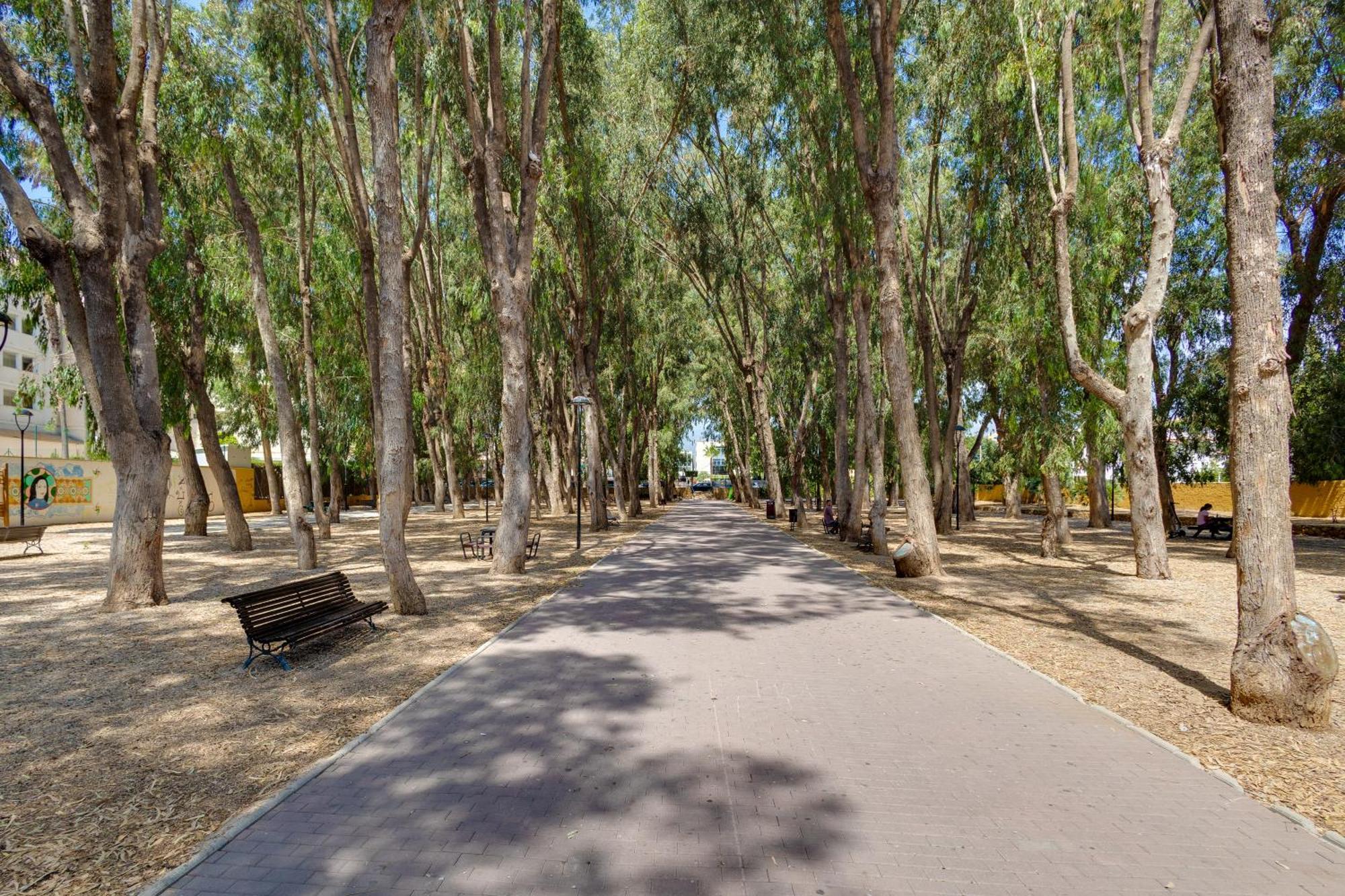 Oasis *