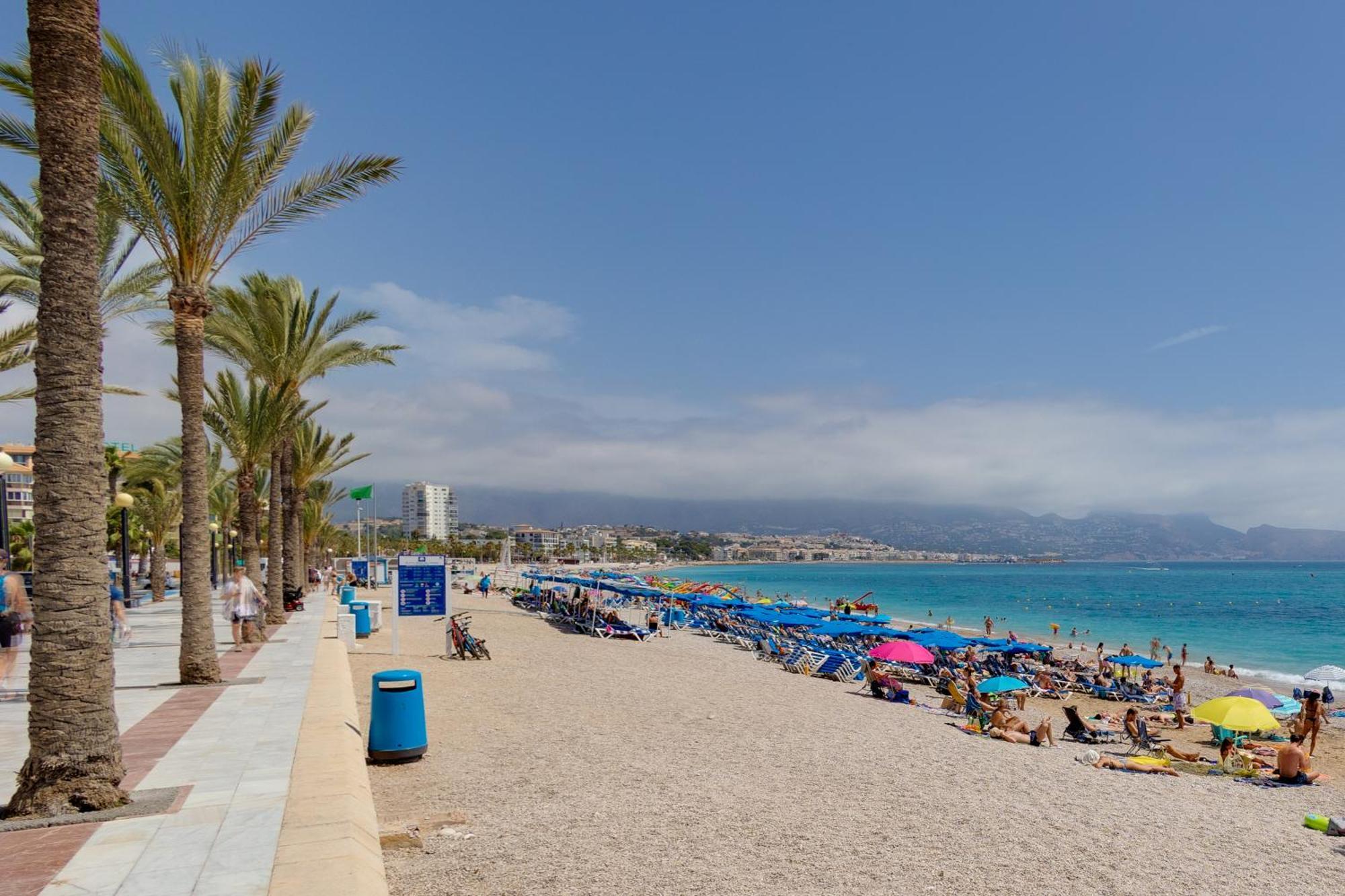 Oasis * El Albir